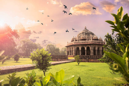Indian cities and their symbiotic relationship with birds  
